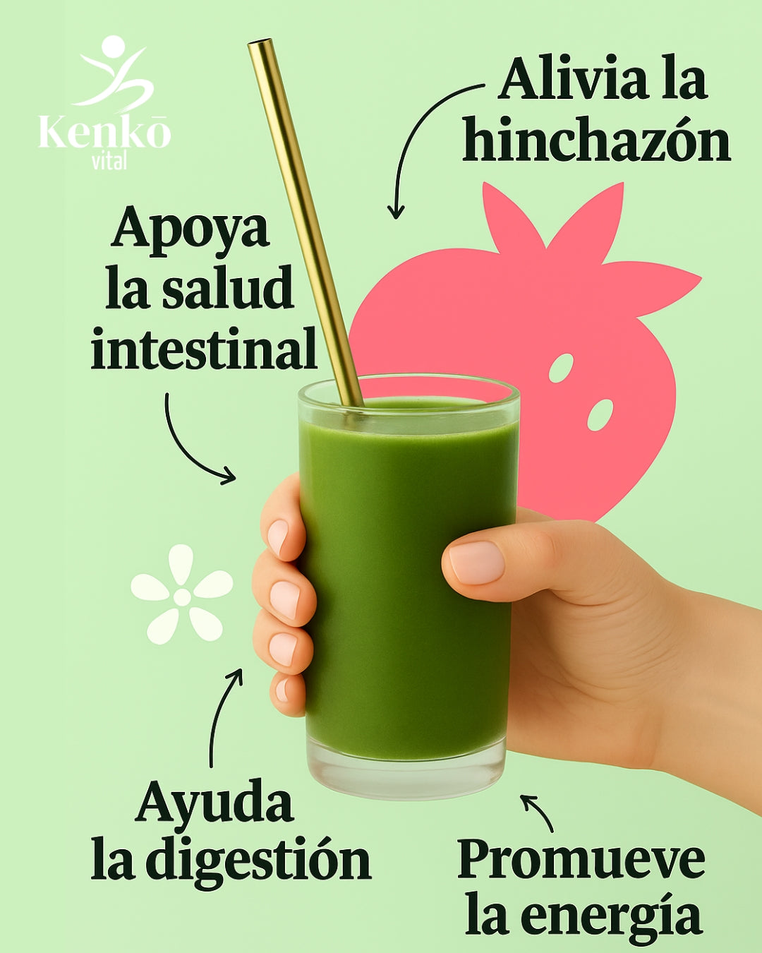 Bloom Greens | Superfoods para digestión y energía diaria
